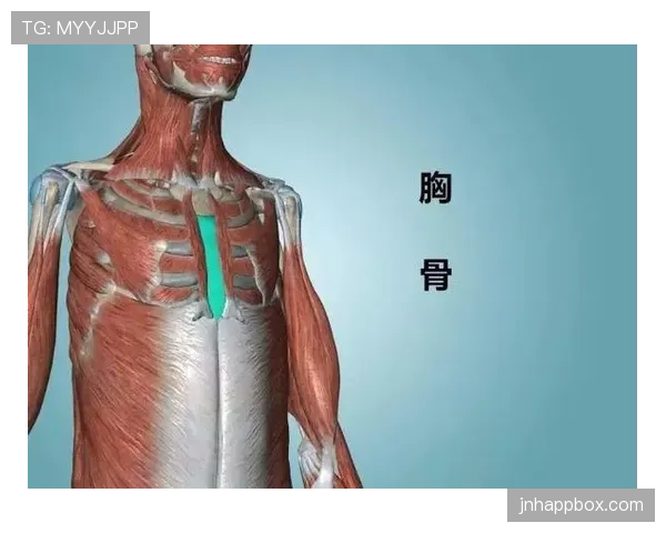 维尔茨作为肋部组织核心的进攻发起机制解析